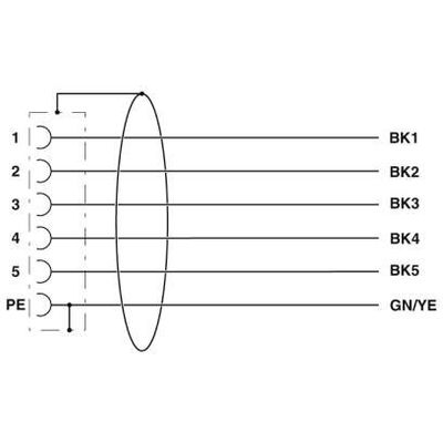 SAC-6P- 1,5-PUR/M12FRM PE SH - Phoenix Contact - 1414900 - изображение 4